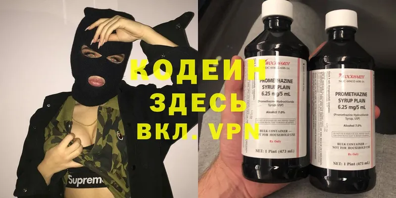 хочу   Кизляр  Кодеиновый сироп Lean Purple Drank 